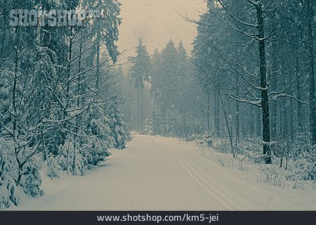 
                Schneefall, Winterwald                   