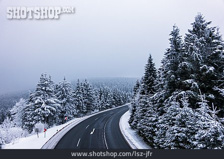 
                Winter, Straße, Thüringer Wald                   