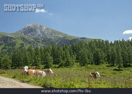 
                Nationalpark Berchtesgaden                   