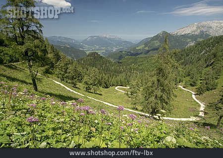 
                Wanderweg, Wandergebiet, Nationalpark Berchtesgaden                   