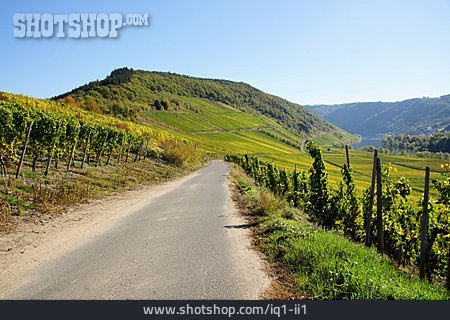 
                Straße, Weinlandschaft                   