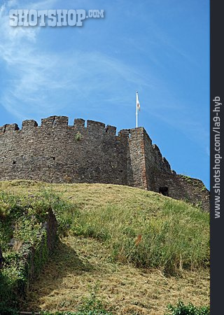 
                Totnes Castle                   