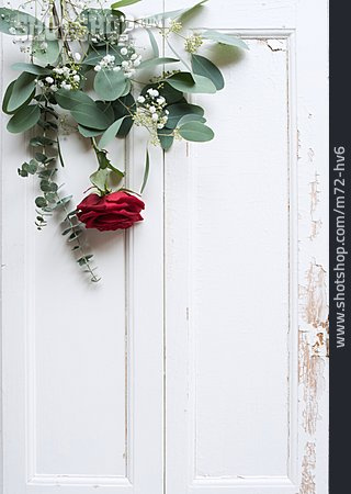 
                Rote Rose, Shabby Chic                   