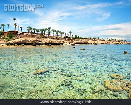 
                Strand, Korallenriff, Sharm-el-sheikh                   