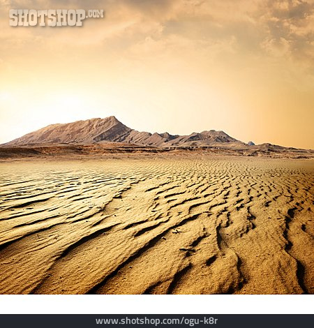 
                Wüste, Sahara                   