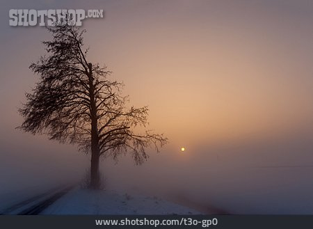 
                Winterlandschaft, Nebel, Kälte                   