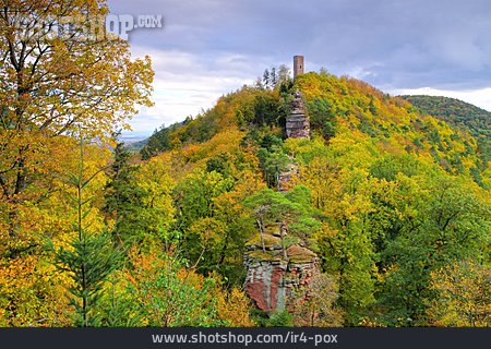 
                Palatinate Forest, Scharfenberg Castle                   