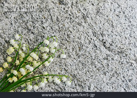 
                Granit, Maiglöckchen                   