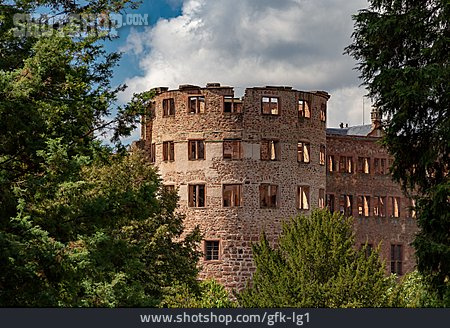 
                Schloss Heidelberg                   
