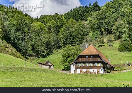 
                Wohnhaus, Schwarzwald, Traditionell                   
