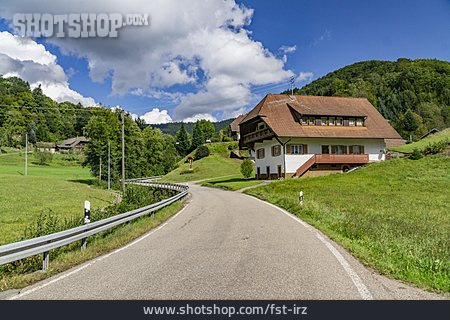 
                Schwarzwald, Straße                   