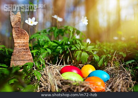 
                Frühjahr, Osternest, Eiersuche                   