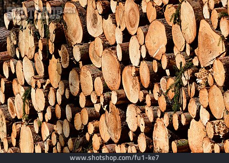 
                Wood Pile, Firewood, Firewood                   