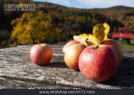 
                Apfel, Herbstapfel                   