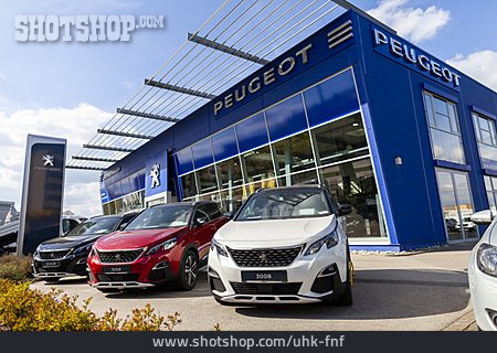 
                Fahrzeughersteller, Peugeot                   