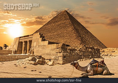 
                Pyramide, Kamel                   