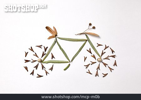 
                Fahrrad, Umweltfreundlich                   