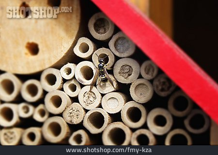 
                Insekten-nisthilfe, Insektenhaus, Insektenhotel                   