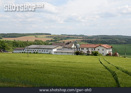 
                Landwirtschaft, Bauernhof, Getreidefeld                   
