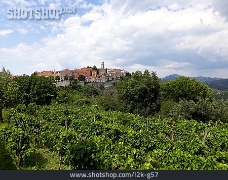 
                Istrien, Weinbaugebiet                   