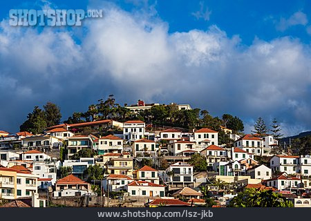 
                Wohnhäuser, Funchal                   