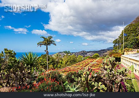 
                Botanischer Garten, Funchal                   