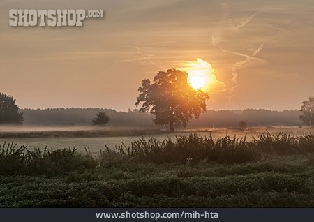 
                Sonnenaufgang, Morgendämmerung, Feld                   