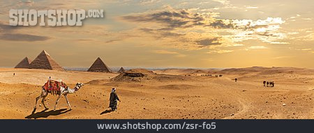 
                Wüste, Beduine, Pyramiden Von Gizeh                   