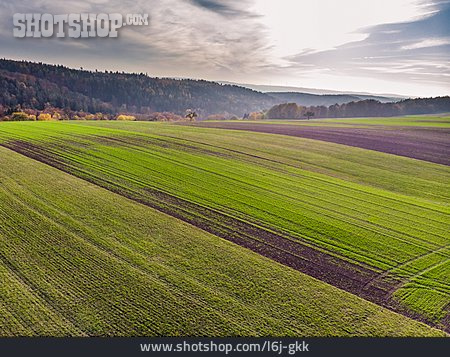 
                Feld, Landwirtschaft, Nutzfläche                   