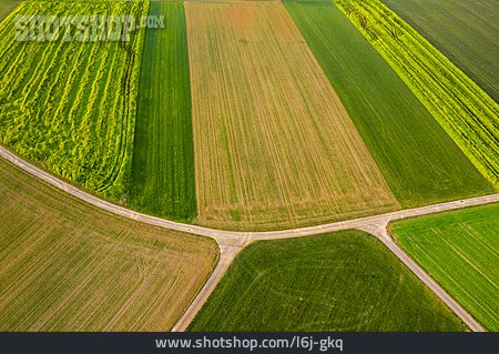 
                Feld, Landwirtschaft, Feldweg, Nutzfläche                   