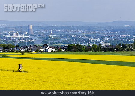 
                Rapsfeld, Kernkraftwerk Mülheim-kärlich, Neuwieder Becken                   