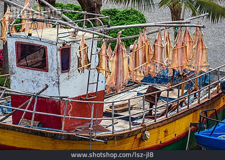 
                Drying, Fishing Boat, Dried Fish                   