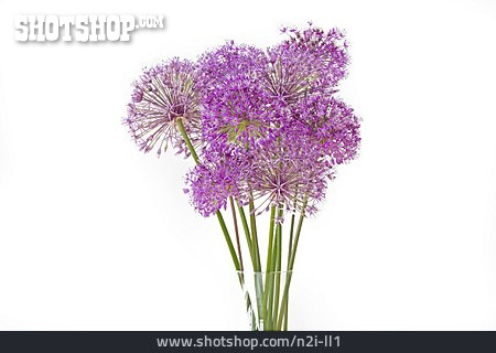 
                Blumenstrauß, Allium                   