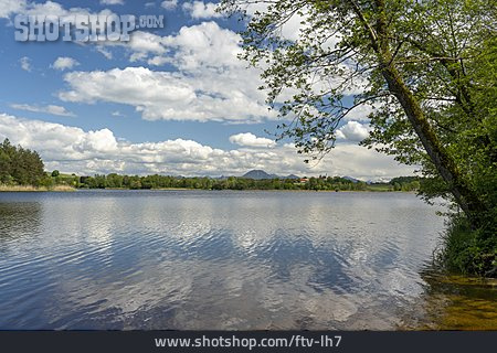 
                Abtsdorfer See                   