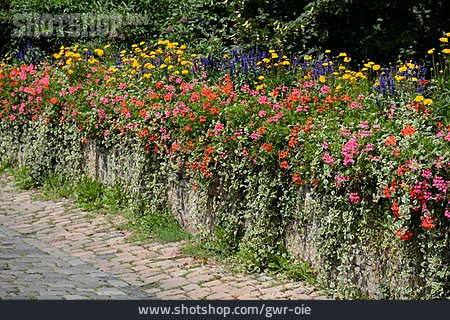 
                Wall, Flower Arrangement                   