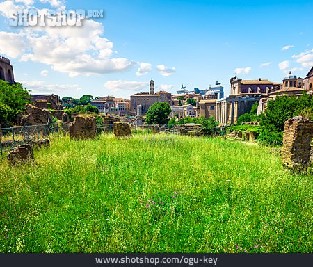 
                Archäologie, Rom, Ruinen                   