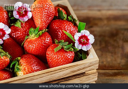 
                Erdbeere                   