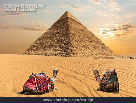
                Pyramide, Kamel                   