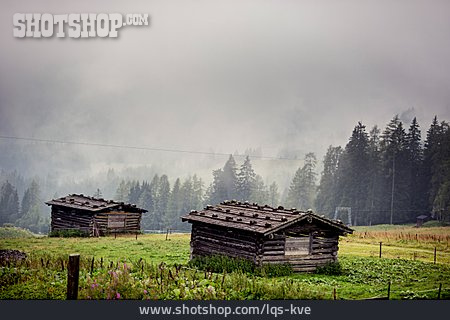 
                Holzhütte, Neblig, Hochalpen                   