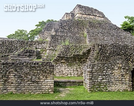 
                Maya-ruine, Caracol                   
