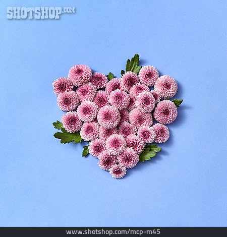 
                Herz, Floristik, Blumenarrangement                   