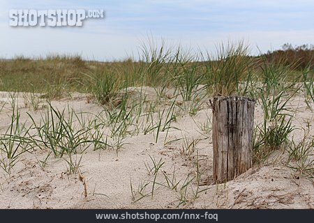 
                Sand, Düne, Holzblock                   