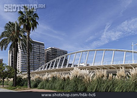 
                Valencia, Puente De La Peineta                   