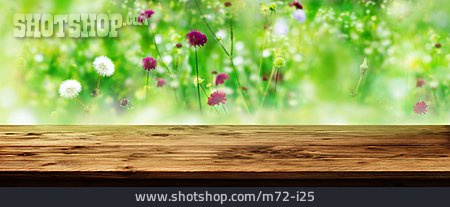 
                Wooden Table, Meadow Flower                   