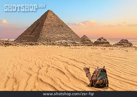 
                Pyramid Shape, Camel                   