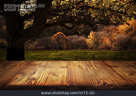 
                Herbst, Holztisch, Apfelbaum                   