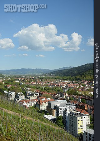 
                Freiburg                   