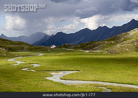 
                Moor, Stubaier Alpen, Regensburger Hütte                   