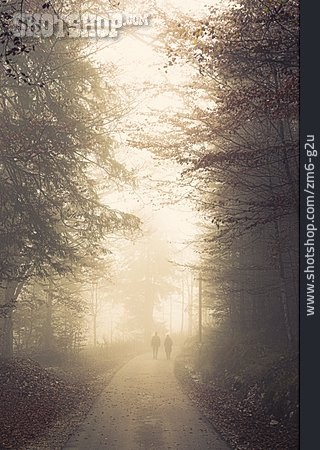 
                Nebel, Herbstwald, Herbstspaziergang                   