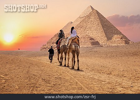 
                Tourismus, Kamelreiten, Pyramiden Von Gizeh                   